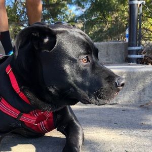 Meet your Posher, Roberto